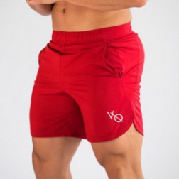 Bodybuilding Fitness Jogging Casual Men's Sports Shorts