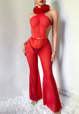 See-Through Mesh Top with Faux Fur Choker and Matching Sheer Trousers
