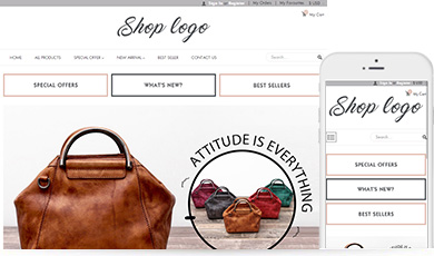 Retro Bags & Shoes Template 2