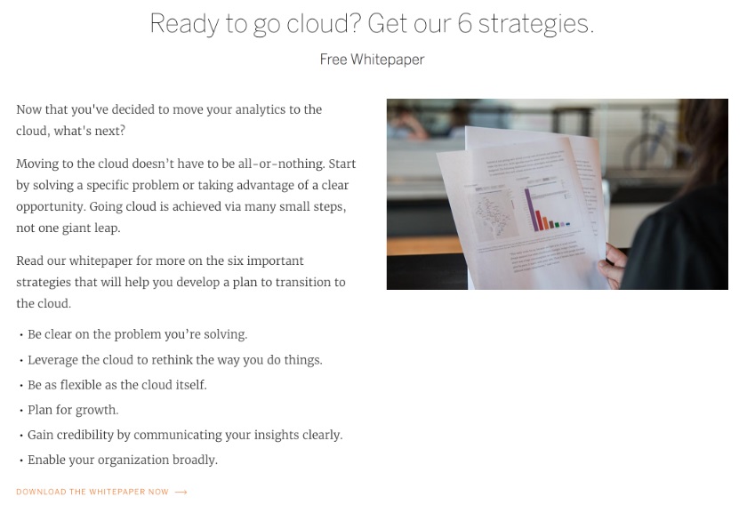 Tableau Whitepaper Example